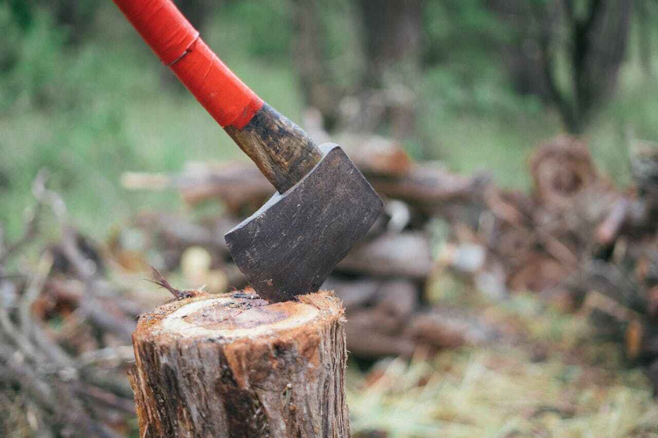 Emergency Storm Tree Removal